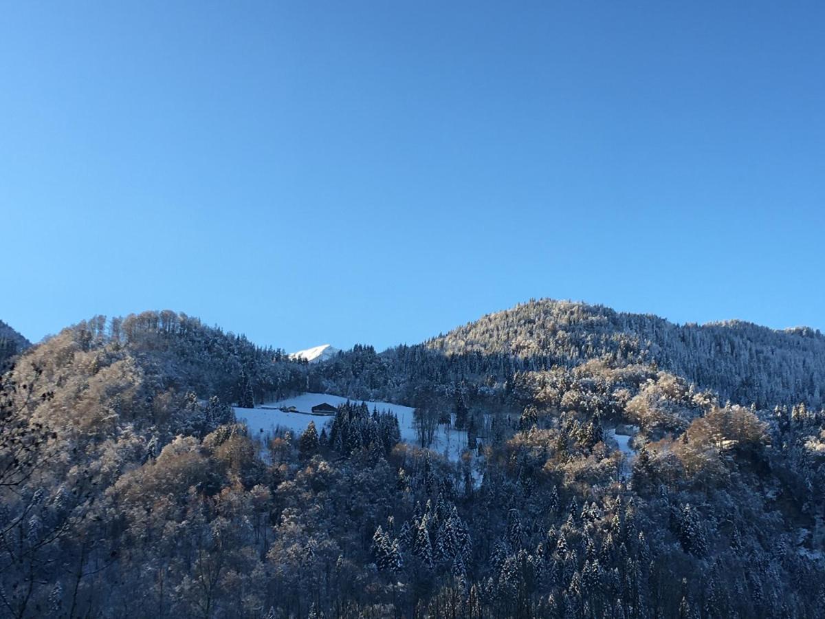 Ferienwohnung Nant D Ant Samoëns Exterior foto